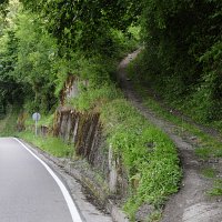 Camín del monte o Camín Real para acceder al valle de Cervigao y Carraceo.